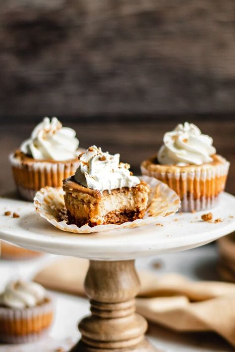 Mini Cookie Butter Cheesecake, Unique Cheesecakes, Mini Biscoff Cheesecake, Cheesecake For One, Unique Cheesecake, Cookie Butter Cheesecake, Personal Desserts, Pumpkin Swirl Cheesecake, Biscoff Cheesecake