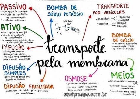 Mapa mental sobre transporte pela membrana. Mental Map, Study Better, Cell Membrane, Lettering Tutorial, Medical Education, Study Hard, Study Time, Mind Map, Study Notes