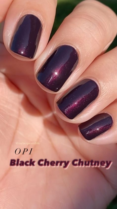 Opi Cherry Chutney, Black Cherry Gel Nails, Black Cherry Chutney Nails, Black Cherry Chutney Opi Dip, Black Cherry Chutney Opi Gel, Opi Cherry Mocha, Black Cherry Nails Acrylic, Black Cherry Opi, Opi Gel Polish Colors Fall