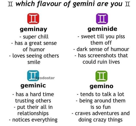 Gemini Life Fun Facts, Gemini Core, Gemini Vibes, Gemini Zodiac Quotes, Gemini Personality, Zodiac Signs Pictures, Gemini Star, Gemini Traits, Astrology Meaning