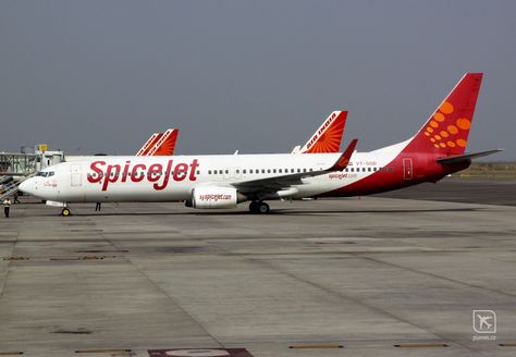 Spice Jet, Boeing 737, Hyderabad, 50 Years, Airlines, Passenger, The Globe, Aircraft, Globe