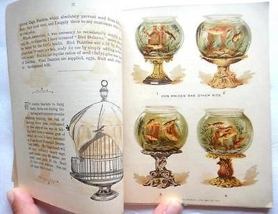 Victorian Bird Cage, Fish Bowls, Cover Book, Fish Bowl, Book Show, Soft Cover, Aquariums, Bird Cage, Goldfish