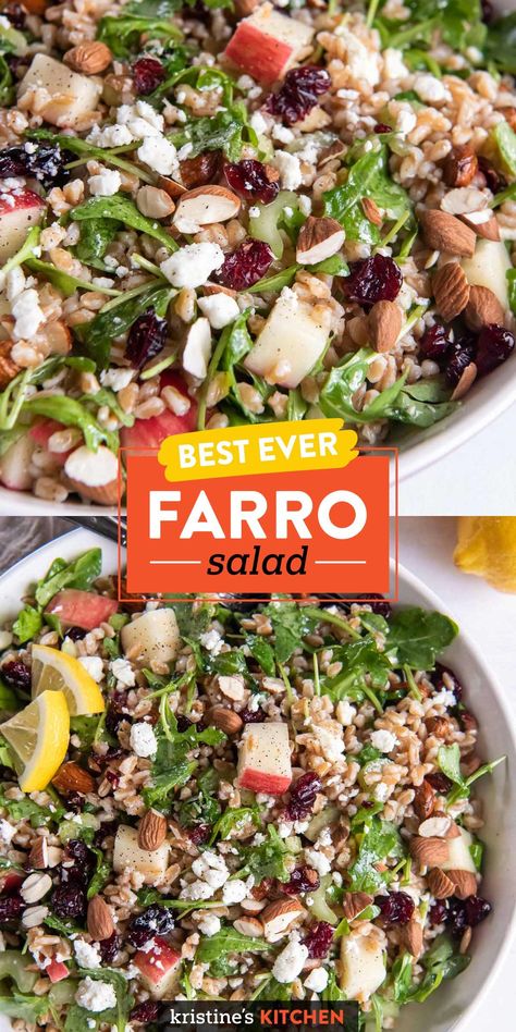 This is the best Farro Salad recipe, packed with delicious flavors and textures! With cranberries, apple, arugula and feta cheese, this healthy farro salad is perfect for lunch, dinner or a side dish. Grain Salad Recipes, Farro Salad Recipes, Farro Recipes, Farro Salad, Grain Salad, Mediterranean Diet Recipes, Healthy Salads, Healthy Salad Recipes, Bowls Recipe