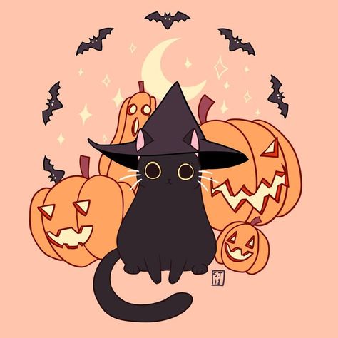 I thought we needed to get into the halloween feel! I thought this cat was perfect! A Black Cat, A Black, Pumpkins, Black Cat, Halloween, Black