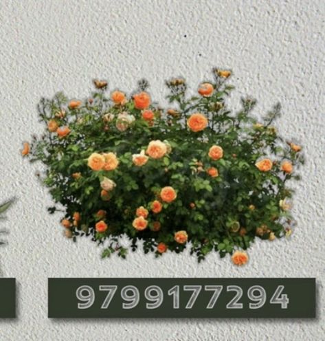 Flower Bush Bloxburg Decal, Flower Bloxburg Codes, Bloxburg Flower Bush Decals Codes, Plant Decals Bloxburg Outdoor, Bush Decal Codes, Floral Decals Bloxburg, Palm Tree Decal Codes Bloxburg, Bloxburg Bush Codes, Bush Codes Bloxburg