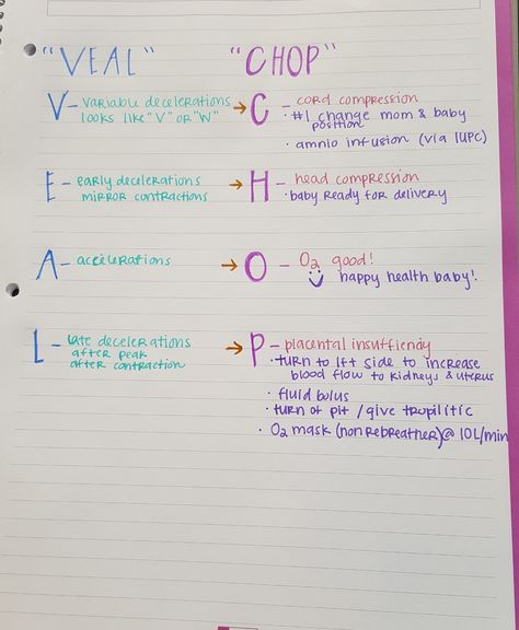 "VEAL" "CHOP" OB interventions Ob/peds Nursing School, Veal Chop Mine Nursing, Ob Nursing Notes, Veal Chop Nursing, Maternal Nursing, Nursing School Life, Fetal Heart Rate, Newborn Nursing, Midwifery Student