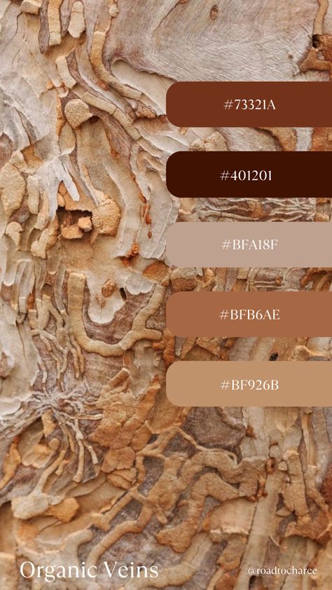 Rustic Palette Color, Rust And Cream Color Palette, Brown Color Mood Board, Terracotta Brown Color Palettes, Orange Brown Cream Color Palette, Toffee Color Palette, Rust Brown Color Palette, Earthy Brown Color Palette, Warm Boho Color Palette