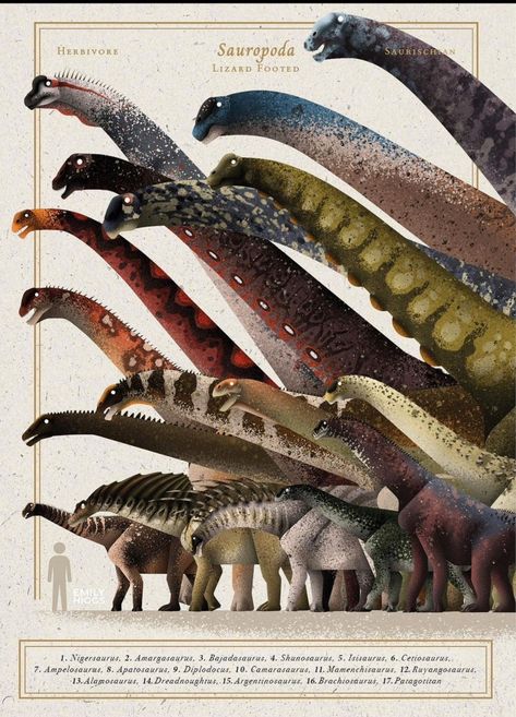 Prehistoric Animals Dinosaurs, Dinosaur Sketch, Prehistoric Wildlife, Ark Survival Evolved, Prehistoric Art, Paleo Art, Dinosaur Bones, Incredible Creatures, Creature Drawings