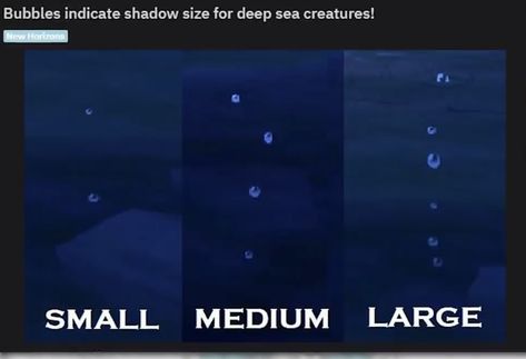 Acnh Tide Pool, Acnh Underwater Room, Acnh Sea Creatures List, Animal Crossing Sea Creature Guide, Animal Crossing Sea Creature Prices, Sea Diving, Deep Sea Diving, Deep Sea Creatures, Animal Crossing Guide