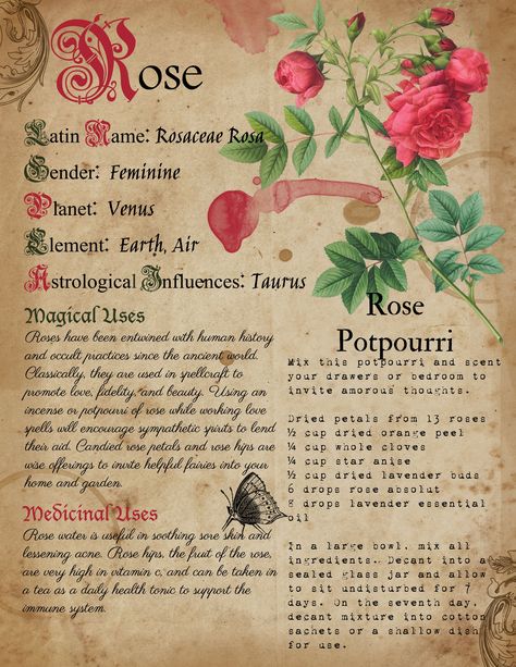 Book Of Shadows Inspiration, Herbs Meaning, Herb Correspondences, Book Of Shadows Ideas, Spell Ideas, Plant Meanings, Magical Correspondences, Book Of Shadows Pages, Witchcraft Herbs