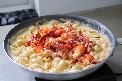 White Truffle Lobster Mac n’ Cheese – The Naughty Fork Lobster Mac And Cheese Recipe, Lobster Mac N Cheese, Healthy Cheese Recipes, White Mac And Cheese, Lobster Mac N Cheese Recipe, Truffle Oil Recipes, Crab Mac And Cheese, Truffle Mac And Cheese, Easy Mac N Cheese