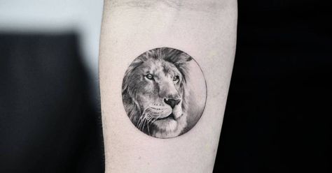 Tattoo Artist: Drag. Tags: categories, Single Needle, Animals, Felines, Lions, Geometric Shapes, Circles. Body parts: Inner Forearm. Small Lion Tattoo, Tattoo Lion, Lion Head Tattoos, Circle Tattoo, Circle Tattoos, Leo Tattoos, Lion Tattoo Design, Inner Forearm, Elephant Tattoos