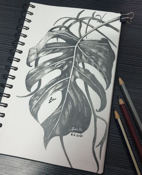 👇 To visit the original art Draw A Monstera Leaf, Monstera Leaf Drawing, Draw A Leaf, Leaf Drawing, Everyday Fashion Outfits, Monstera Leaf, Pencil Sketch, Pencil Drawing, Pencil Drawings