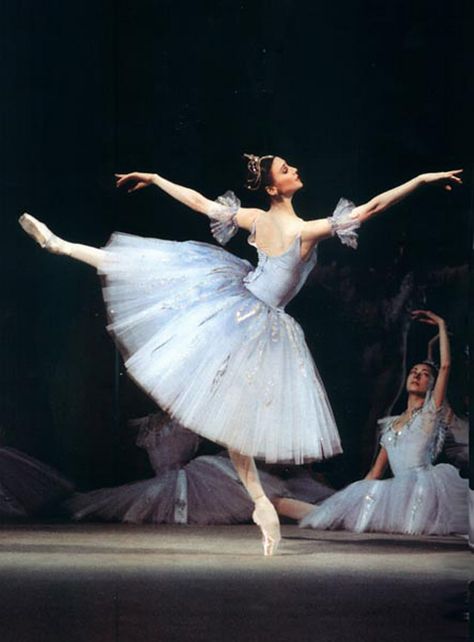 Grand Prince, Svetlana Zakharova, Ballet Pictures, Ballet Beauty, Ballet Poses, Ballet Inspiration, Misty Copeland, Ballet Art, Ballet Photos