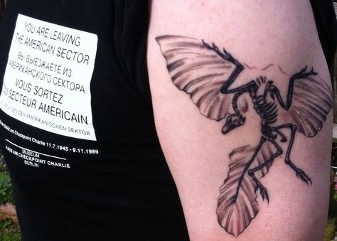 Archaeopteryx tattoo. Dinosaur Tattoos, Tattoo Board, Tattoo Inspo, Cat Tattoo, A Tattoo, Tattoos And Piercings, I Tattoo, Biology, Cool Tattoos