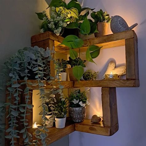 Corner Plant Shelf, Rustic Corner Shelf, Corner Shelf Design, Floating Corner Shelves, Corner Wall Shelves, Hanging Plant Wall, Shelf Furniture, Rustic Bathrooms, Corner Wall