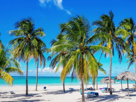 Top 10 BEST Cuban Beaches | Home To Havana Cuba Beach, Cuba Scenery, Cayo Santa Maria, Varadero Beach Cuba, Varadero Beach, Havana Cuba Beach, Cuba Beaches, Visit Cuba, Varadero