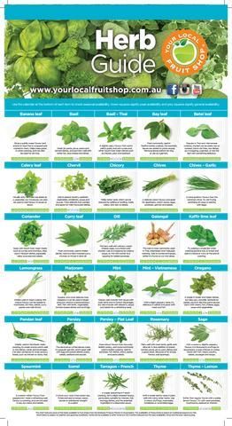 Herb Guide, Backyard Design On A Budget, Small Backyard Design Layout, Small Backyard Design Ideas, Medicinal Herbs Garden, Backyard Design Layout, Medical Herbs, Backyard Design Ideas, Small Backyard Ideas