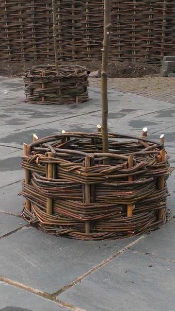 Rose štíty Willow Living Fence, Living Willow Structures Diy, Willow Garden Sculpture, Woven Willow Raised Beds, Willow Weaving Garden, Willow Fence, Living Willow, Bury St Edmunds, Wicker Baskets