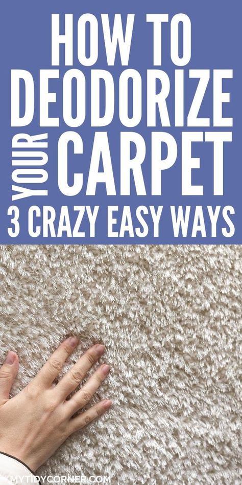 How To Get Throw Up Smell Out Of Carpet, Carpet Cleaning Solution For Pet Urine, Deorderizer Carpet, Mildew Smell Out Of Carpet, Get Smell Out Of Carpet, Stinky Carpet Remedy, How To Get Mildew Smell Out Of Carpet, Getting Pee Smell Out Of Carpet, How To Get Vomit Smell Out Of Carpet