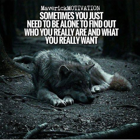 Reflection is essential for figuring out the right direction. Wolf Pack Quotes, Lone Wolf Quotes, Lion Quotes, Inspirerende Ord, Wolf Quotes, She Wolf, Warrior Quotes, Lone Wolf, A Wolf