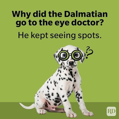 Laughter is truly the best medicine! 😂 Click the 🔗 in our bio for more doctor jokes. #jokes #doctorjokes #funny #laugh #humor Short Jokes For Kids, Eye Jokes, Dentist Jokes, Medical Puns, Physics Jokes, Dog Doctor, Doctor Jokes, Hospital Humor, Nurse Jokes