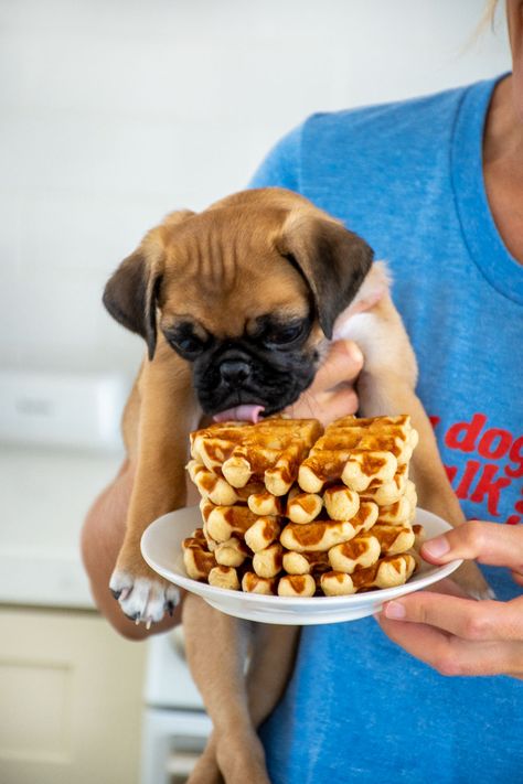 Waffle Recipe for Dogs | Easy Brunch Recipe Banana Waffle Recipe, Dog Cookie Recipes, Easy Waffle Recipe, Banana Waffles, Waffles Easy, Easy Brunch Recipes, Recipe For Kids, Peanut Butter Pumpkin, Homemade Waffles