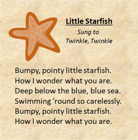 "Little Starfish" sung to the tune of Twinkle Twinkle Little Star. Montessori Songs, Ocean Lesson Plans, Summer Daycare, Beach Songs, Preschool Ocean, Ocean Theme Preschool, Oceans Song, Fish Theme, Sea Activities