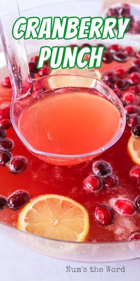 Cranberry Punch is the perfect holiday season drink! Sweet and delicious, it’s a crowd pleaser every year! #numstheword #cranberry #punch #sweet #drinks #holidays #gatherings Cranberry Punch Recipes Non Alcoholic, Cranberry Juice Recipes, Cranberry Ginger Ale, Thanksgiving Punch, Cranberry Punch, Traditional Holiday Recipes, Easy Punch, White Cranberry Juice, Easy Pork Chops