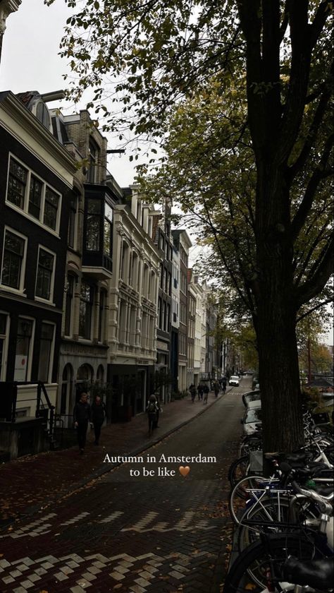 Amsterdam New Year, Amsterdam Fall, Pictures Of Beautiful Places, Senior Trip, Instagram Inspiration Posts, Europe Winter, Autumn Morning, Amsterdam Travel, Pretty Landscapes