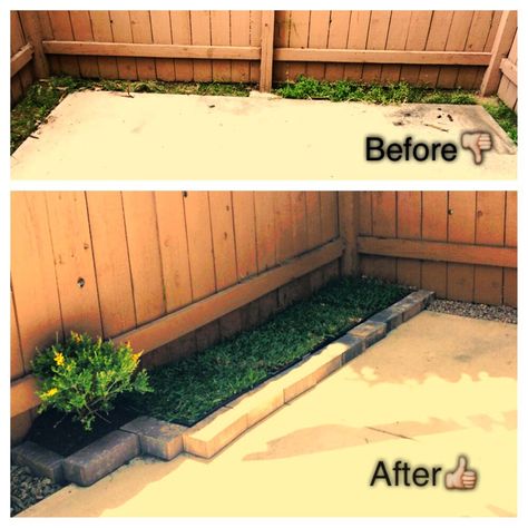 Make a grassy area on any small patio, for your dog, with 12x12" sod trays from Home Depot and inexpensive bricks for edging. This is still a work in progress, but a great start. Only cost $35 for; sod, soil, gravel, bricks and plants! Patio Ideas For Dogs, Townhome Remodel, Small Patio Ideas Townhouse, Townhouse Backyard, Patio Ideas Townhouse, Lawn Ideas, Pen Ideas, Dog Pen, Dog Area