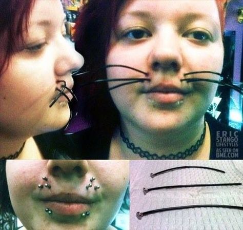 Bizarre Photos, Nose Piercings, Body Modifications, Body Mods, Really Funny Pictures, Funny Laugh, Reaction Pictures, Mood Pics, Funny Images