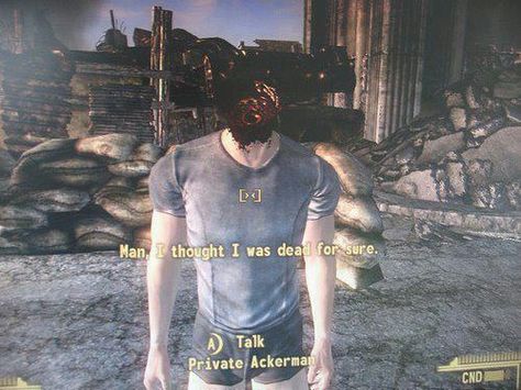 Did somebody say glitches? Vegas Memes, Video Game Humor, Fallout Funny, Fallout Nv, Fallout Game, Bethesda Games, Fallout Art, Funny Gaming, Funny Game