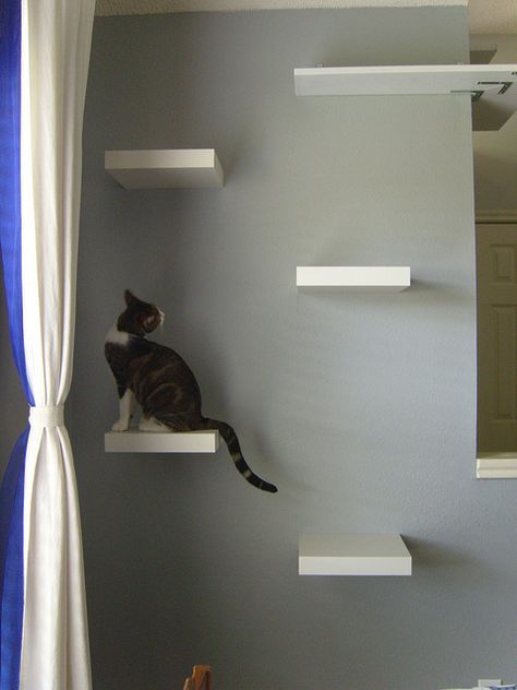 Cat shelves, made with IKEA Lack shelves. I might have to do this in my office so my kittens stay off my dressers and cabinets! Lack Shelves, Katt Diy, Lack Shelf, Ikea Lack Shelves, Katt Grejer, Homemade Cat Food, Cat Stairs, Cat Wall Shelves, Ikea Lack