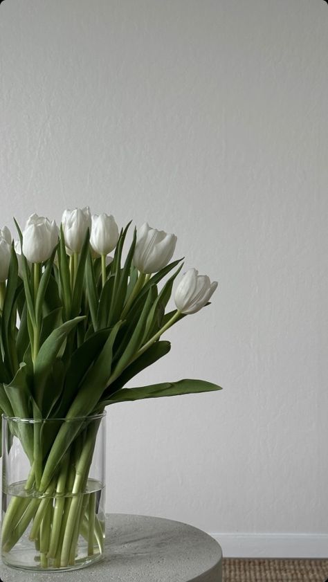 White Tulips Aesthetic, Tulips Aesthetic, Flower Therapy, White Tulips, Little Flowers, Out And About, Beautiful Wallpapers, Indoor Plants, Flowers Bouquet