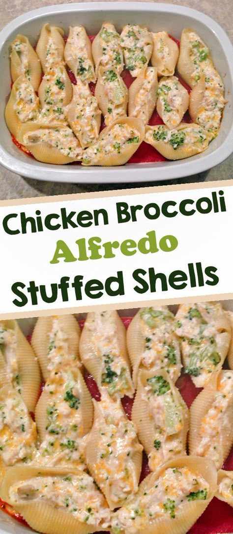 Chicken Alfredo Stuffed Shells, Easy Alfredo, Alfredo Stuffed Shells, Chicken Broccoli Alfredo, Resep Pasta, Broccoli Alfredo, Pasta Shells, One Pot Dinners, Stuffed Shells Recipe