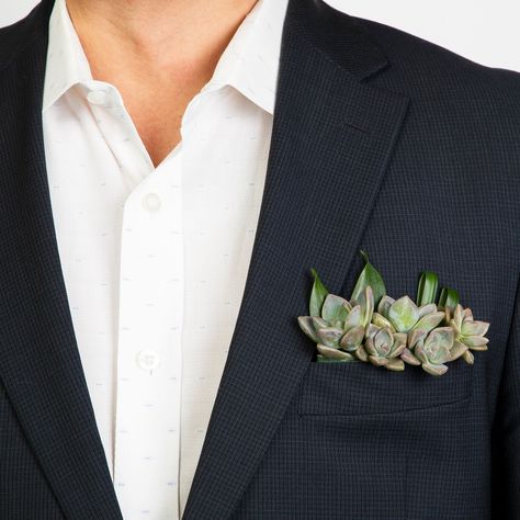 Pocket Boutonniere, Las Vegas Resorts, New Trend, Shop Products, Boutonniere, Pocket Square, Styled Shoot, Succulent, Magnets