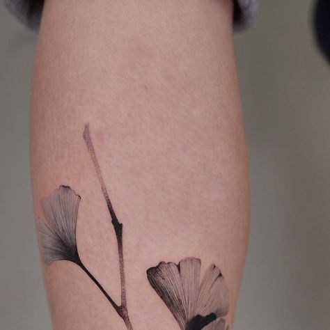 Gingko Leaves Tattoo, Ginkgo Tattoo, Leaf Tattoo, Gingko Leaves, Ginkgo Leaves, E Tattoo, Calf Tattoo, Ginkgo Biloba, Ginkgo Leaf