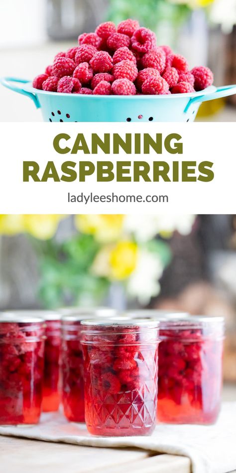 How To Can Raspberries, Canning Raspberries, Preserve Raspberries, Fruit In Jars, Canning Fruit Recipes, Canning For Beginners, Summer Canning, Preserving Fruit, Water Bath Canning Recipes