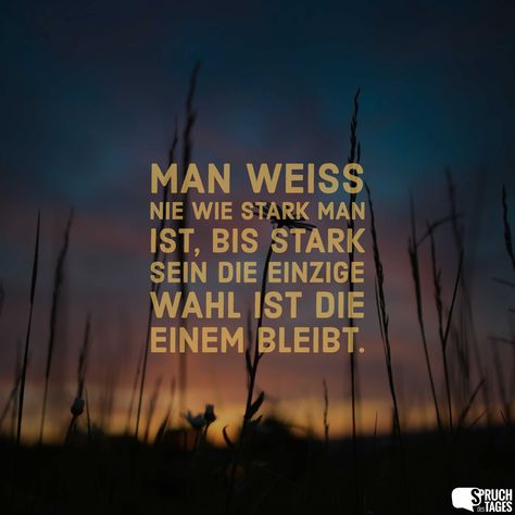 Man weiß nie wie stark man ist, bis Stark sein die einzige Wahl ist die einem bleibt. Burning Bridges, German Quotes, Simple Quotes, Bio Quotes, Dalai Lama, Love Your Life, Sarcastic Quotes, Life Motivation, True Words