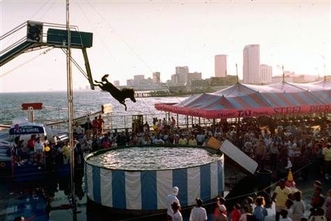 Owners of the Steel Pier considered bringing back the Diving Horse amid new renovations. The act, seen here in a photo from 1993, was retired in the 70s but brought back for two months in 1993. It closed after animal rights activists objected. Horse Diving, Atlantic City Boardwalk, City Plan, Animal Rights Activist, Horse Videos, Horse Jumping, Atlantic City, Make Photo, Animal Welfare