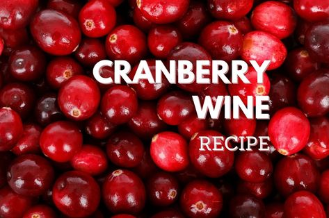 Drinks With Cranberry Juice, Wine Making Recipes, Homemade Wine Recipes, Wine Ingredients, Mead Recipe, Cranberry Wine, Peach Wine, Wine Recipe, Seasonal Drinks