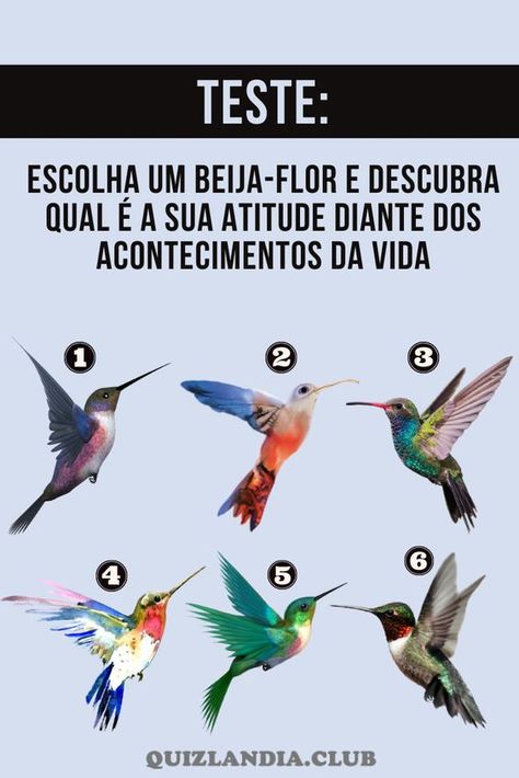 Escolha um beija-flor e descubra qual é a sua atitude diante dos acontecimentos da vida Jimmy Dean, Dean, Movie Posters, Film Posters