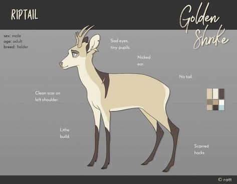 Golden Shrike, Lion King Story, Fairytale Creatures, Bambi Art, Deer Drawing, Beautiful Sketches, Animated Animals, Deer Art, My Little Pony Drawing