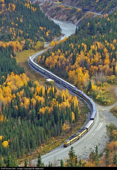 RailPictures.Net Photo: ARR 4324 Alaska Railroad EMD SD70MAC at Healy Canyon, Alaska by Frank Keller Healy Alaska, Alaska Train, Alaska Day, Girdwood Alaska, Alaska Railroad, Alaska Glaciers, Work Train, Alaska Usa, Scenic Railroads