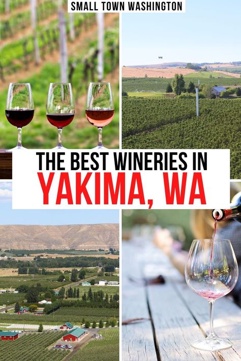 photos of wine tasting and vineyards in yakima valley washington. text reads 'the best wineries in yakima wa' Small Town Washington, Washington Wineries, Washington Wine Country, Beautiful Places In Usa, Washington Trip, Yakima Washington, Drink Bucket, Yakima Valley, Washington Travel