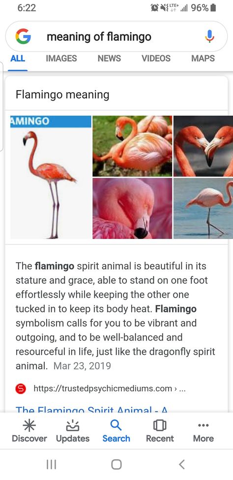 Flamingo Spirit Animal Meaning, Flamingo Meaning, Flocking Fabulous, Spirit Animal Meaning, Totem Animals, Animal Meanings, Animal Medicine, Animal Totems, Body Heat