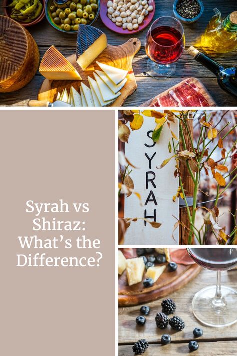 Do you know the difference between Syrah and Shiraz? The two may sound similar but they actually refer to two distinct types of wine, with different flavors and characteristics. Learn all about the distinguishing features of Syrah and Shiraz – from their origins and flavor profiles to the best food pairings – and why they remain such popular wines, in this comprehensive guide to the difference between Syrah and Shiraz. Syrah Wine, Shiraz Wine, Wine 101, Wine Education, Ripe Fruit, Growing Grapes, Summer Wines, Types Of Wine, Red Grapes