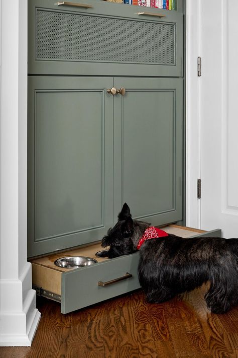 dog-bowl-cabinet-pullout-storage-29869e1b Pullout Dog Bowl, Pull Out Dog Food Cabinet, Dog Bowl Pull Out Drawer, Cabinet With Dog Bowls, Pet Food Storage Cabinet, Dog Bowl Storage, Dog Cabinet Storage, Dog Bowl Cabinet, Hidden Dog Bowls