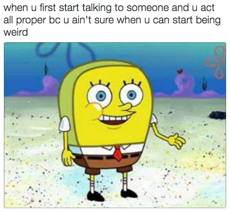 On being awkward: | Just A Bunch Of Really Good “SpongeBob” Memes this is me omg xD Funny Spongebob Memes, Animal Humor, Spongebob Funny, Socially Awkward, Spongebob Memes, Memes Humor, Dating Memes, Spongebob Squarepants, What’s Going On